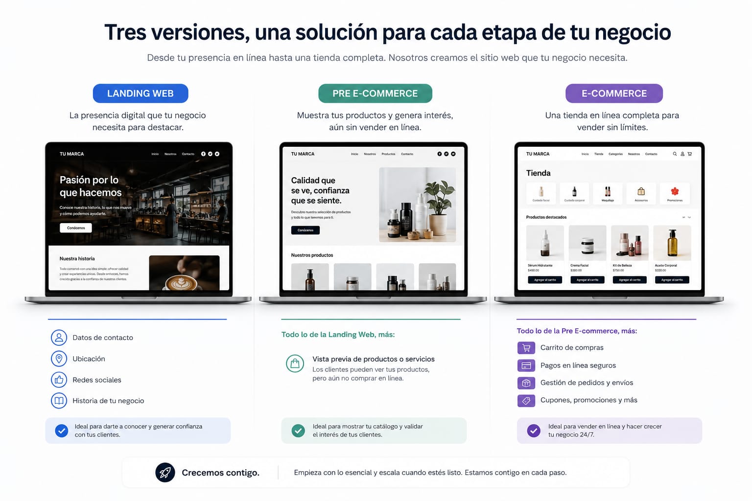 Plantilla 4